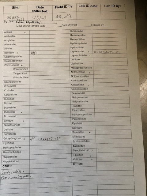 counts of families of the bugs